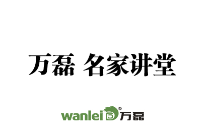 萬磊 戈壁石（常規效果） 施工視頻